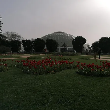 House Romantic R/c Right * Порту