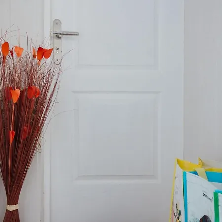 House Romantic R/c Right Appartement Oporto