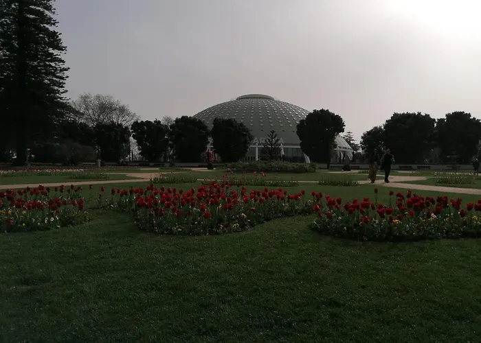 House Romantic R/c Right * Порту